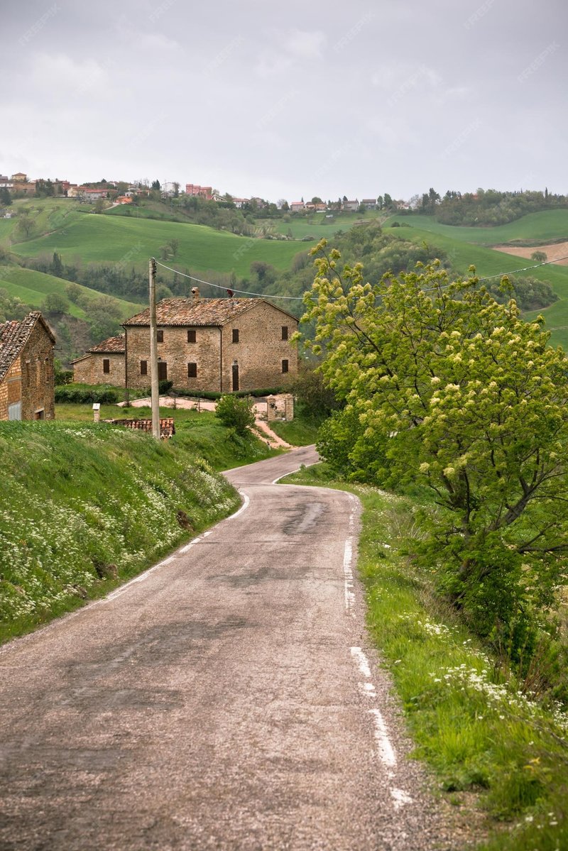 Esplora il Mito della Chicken Road: Gioco di Azzardo Originale in Italia a Italy